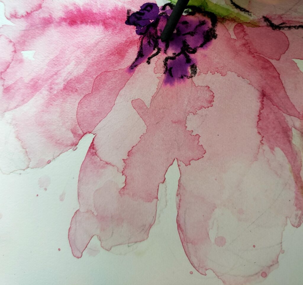 A mixed media painting of a pink flower and green stem showing part of a stick of charcoal drawing around the stamens.